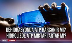 Dehidrasyonda ATP harcanır mı? Hidrolizde ATP miktarı artar mı?