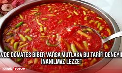 Evde domates biber varsa mutlaka bu tarifi deneyin! İnanılmaz lezzet