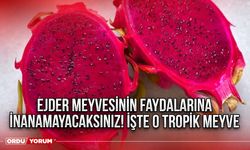 Ejder meyvesinin faydalarına inanamayacaksınız! İşte o tropik meyve