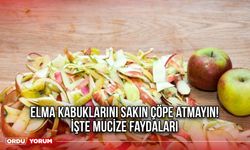 Elma kabuklarını sakın çöpe atmayın! İşte mucize faydaları