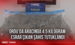 Ordu’da aracında 4,5 kilogram esrar çıkan şahıs tutuklandı