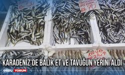 Karadeniz’de balık et ve tavuğun yerini aldı