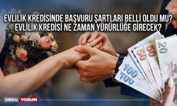 Evlilik kredisinde başvuru şartları belli oldu mu? Evlilik kredisi ne zaman yürürlüğe girecek, ödeme miktarı?