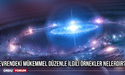 Evrendeki mükemmel düzenle ilgili örnekler nelerdir?