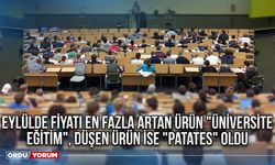 Eylülde fiyatı en fazla artan ürün "üniversite eğitim", düşen ürün ise "patates" oldu