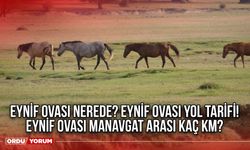 Eynif Ovası nerede? Eynif Ovası yol tarifi! Eynif ovası Manavgat arası kaç km?