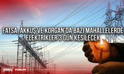 Fatsa, Akkuş ve Korgan'da bazı mahallelerde elektrikler 3 gün kesilecek