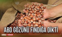 ABD gözünü fındığa dikti