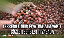 Ferrero fındık fiyatına zam yaptı gözler serbest piyasada