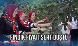 Fındık fiyatı sert düştü