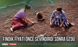 Fındık fiyatı önce sevindirdi sonra üzdü