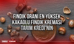 Fındık oranı en yüksek kakaolu fındık kreması Tarım Kredi'nin