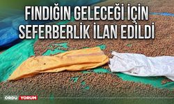 Fındığın geleceği için seferberlik ilan edildi