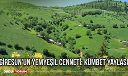 Giresun'un yemyeşil cenneti: Kümbet Yaylası