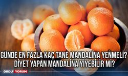 Günde en fazla kaç tane mandalina yenmeli? Diyet yapan mandalina yiyebilir mi?