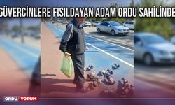 Güvercinlere fısıldayan adam Ordu sahilinde