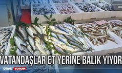 Vatandaşlar et yerine balık yiyor