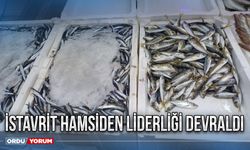 İstavrit hamsiden liderliği devraldı