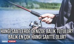 Hangi saatlerde denizde balık tutulur? Balık en çok hangi saatte olur?