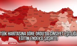 TÜİK haritasına göre Ordu’da cinsiyet eşitliği eğitim endeksi şaşırttı