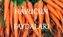 Sağlığınız İçin Havucun Faydaları: İşte 5 Harika Faydası