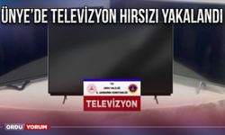 Ünye’de televizyon hırsızı yakalandı