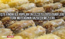 İşte fındık ile yapılan en lezzetli tatlı tarifleri! Türk mutfağının vazgeçilmezleri!