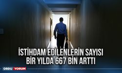 İstihdam edilenlerin sayısı bir yılda 667 bin arttı