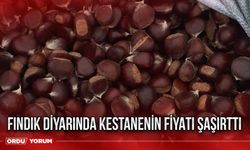 Fındık diyarında kestanenin fiyatı şaşırttı