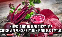 Kırmızı pancar nasıl tüketilir? İşte Kırmızı pancar suyunun inanılmaz faydası