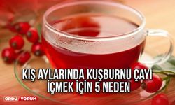 Kış aylarında kuşburnu çayı içmek için 5 neden