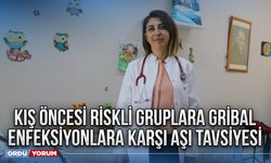 Kış öncesi riskli gruplara gribal enfeksiyonlara karşı aşı tavsiyesi