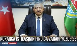 Kokarca istilasının fındığa zararı yüzde 25