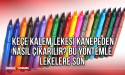 Keçe Kalem Lekesi Kanepeden Nasıl Çıkarılır? Bu yöntemle lekelere son