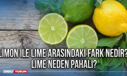 Limon ile lime arasındaki fark nedir? Lime neden pahalı?