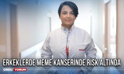 Erkeklerde meme kanserinde risk altında