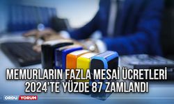 Memurların fazla mesai ücretleri 2024'te yüzde 87 zamlandı