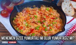 Menemen sizce yumurtalı mı olur yumurtasız mı?