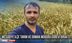 Mesudiye İlçe Tarım ve Orman Müdürü görevi bıraktı