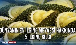 Dünyanın en ilginç meyvesi hakkında 5 ilginç bilgi