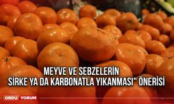 Meyve ve sebzelerin "sirke ya da karbonatla yıkanması" önerisi