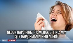 Neden hapşırırız hiç merak ettiniz mi? İşte hapşırmanın nedenleri?