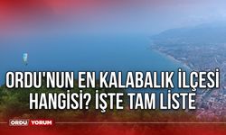 Ordu'nun en kalabalık ilçesi hangisi? İşte tam liste