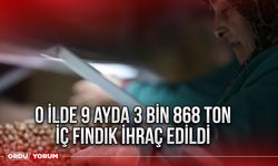 O İlde 9 ayda 3 bin 868 ton iç fındık ihraç edildi