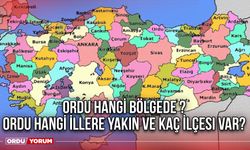 Ordu hangi bölgede ? Ordu hangi illere yakın ve kaç ilçesi var?