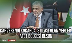 Kahverengi kokarca istilası olan yerler afet bölgesi olsun