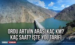 Ordu Artvin arası kaç km? Kaç saat? İşte yol tarifi