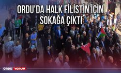 Ordu'da halk Filistin için sokağa çıktı