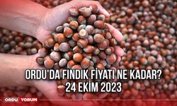 Ordu'da fındık fiyatı ne kadar? 24 Ekim 2023