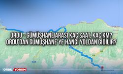 Ordu - Gümüşhane Arası Kaç Saat, Kaç Km? Ordu'dan Gümüşhane'ye Hangi Yoldan Gidilir?